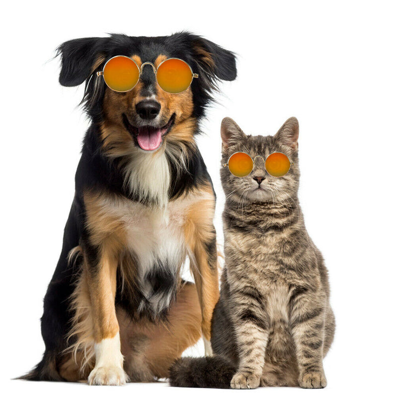 Lovely Dog Cat Glasses Pet Eye Protection Sunglasses Photos Props (Red) A