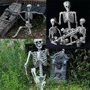 Halloween Poseable Human Jointed Skeleton Full Life Size Props Party Decoration