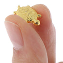 Golden Money Turtle Lucky Fortune Home Office Decoration Ornaments  Lucky GiftOZ
