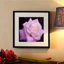 Rose 5D Diamond Painting DIY Embroidery Craft Cross Stitch Home Decor Gift