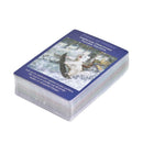Fairy Tarot Cards: A 78-Card Deck and Guidebook by Doreen Virtue (English) Free