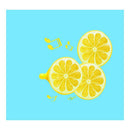 Small Fresh Lemon Photography Backdrops Studio Home Decor Photo Background