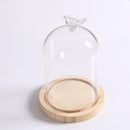 Glass Display Cloche Bell Jar Dome Flower Immortal Preservation Vase Bird