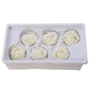 Eternal Roses Heads,Real Natural Fresh Preserved Rose,Beauty And The Beast  N4J3