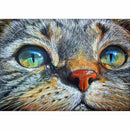5D DIY Diamond Painting Cross Stitch Cat Rhinestone Full circular Diamond E