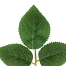 Aquarium Betta Leaf Artificial Plant Fish Oviposition Rest Bed Fish Tank DecorJR