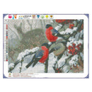 5D DIY Winter Birds Full Drill Diamond Painting Cross Stitch Embroidery Kit