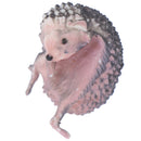 3x capsule toys cute pets mini Hedgehog glass gashapon figures desktop Kids T`3C