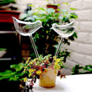 Glass Plant Flowers Water Feeder Self Watering Bird Swan Plant Waterer Devices