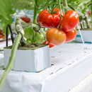 10Pcs  rockwool hydroponics grow starter cubes