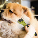 Cat Dog Brush Pet Dematting Comb Hairdressing Accessories Grooming Tool Hair