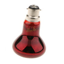 2Pcs B22 Heat Basking Lamp UVA Heater Reptile Moonlight Bulb 220V 60W