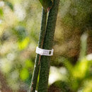 Garden Vegetables Tomato Vine Stalks Grow Upright Support Plant Clips Gift V3V5