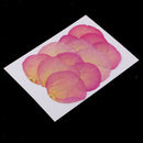 12pcs Real Pressed Dried Flower Rose Petals Scrapbooking Embellishments Pink