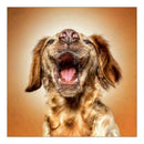 5D DIY Full Round Drill Diamond Painting Puppy Cross Stitch Embroidery Kit