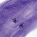 Halloween Spider Web Props Home Party Bar Decoration Stretchy Cobweb Spider