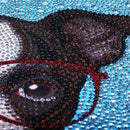 Special Shaped Diamond Painting Dog Diy 5D Full Drill Cross Stitch Kits Cry