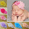 10 x Girl Newborn Baby Toddler Infant Flower Headband Hair Bow Band Photo Props