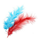120 colors for Turkey feathers wedding birthday festival deco
