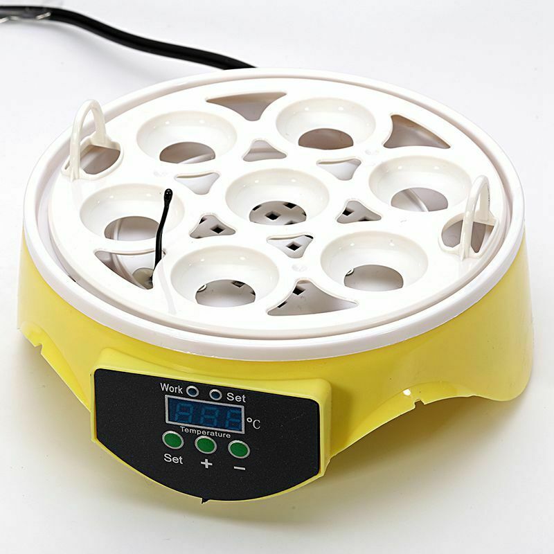 Mini 7 Egg Incubator Poultry Incubator Brooder Digital Temperature Hatchery