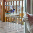 Acrylic Window With Strong Suction Cup Birdhouse Feed Bird Feeder Clear-Tra Z0U1