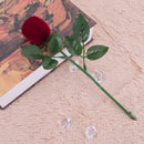 Romantic Red Rose Engagement Wedding Ring Earrings Jewelry Gift Box Case