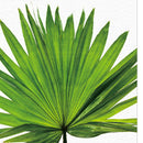 Unframed Modern Art Canvas Oil Painting Palmetto Leaf Print Wall Decor L