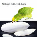 1 Bag Cuttlefish Cuttle Fish Bone Parrotts Birds Reptiles L9N6 Food Tortois Y4Q0