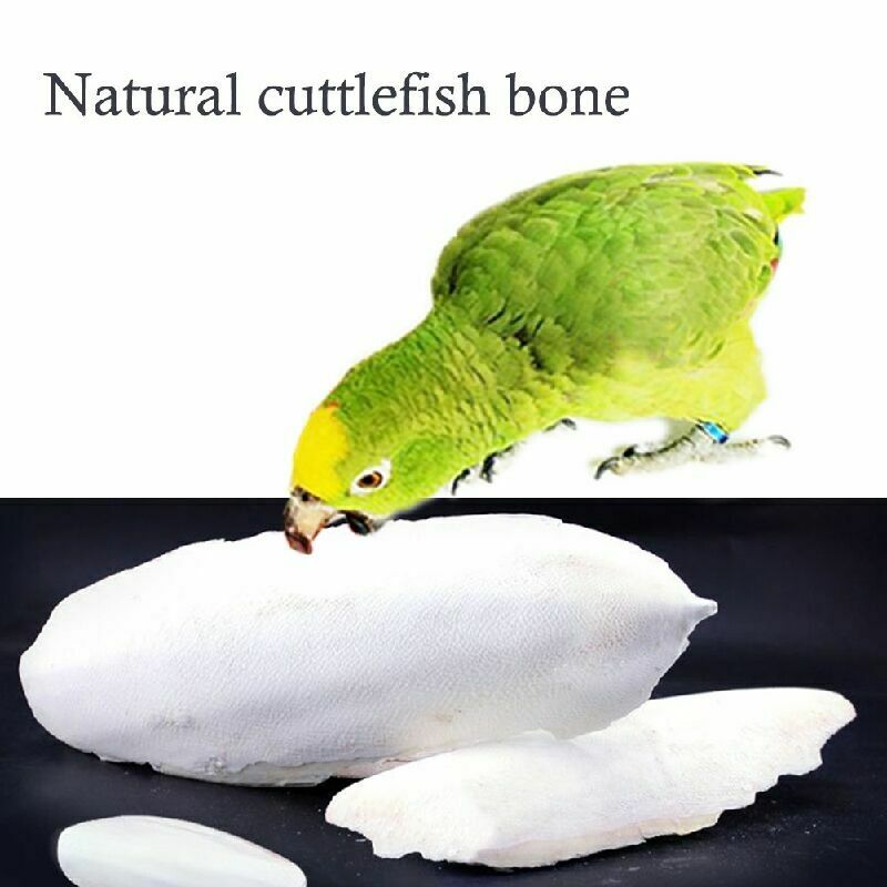 1 Bag Cuttlefish Cuttle Fish Bone Parrotts Birds Reptiles L9N6 Food Tortois Y4Q0