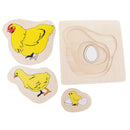 Montessori Materials The Evolution Process Of Hens For Kids Early Education