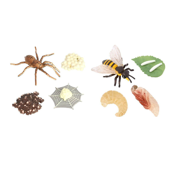 Simulation the Life Cycle of Spider Insect Growing 4 Stage Educational Toys