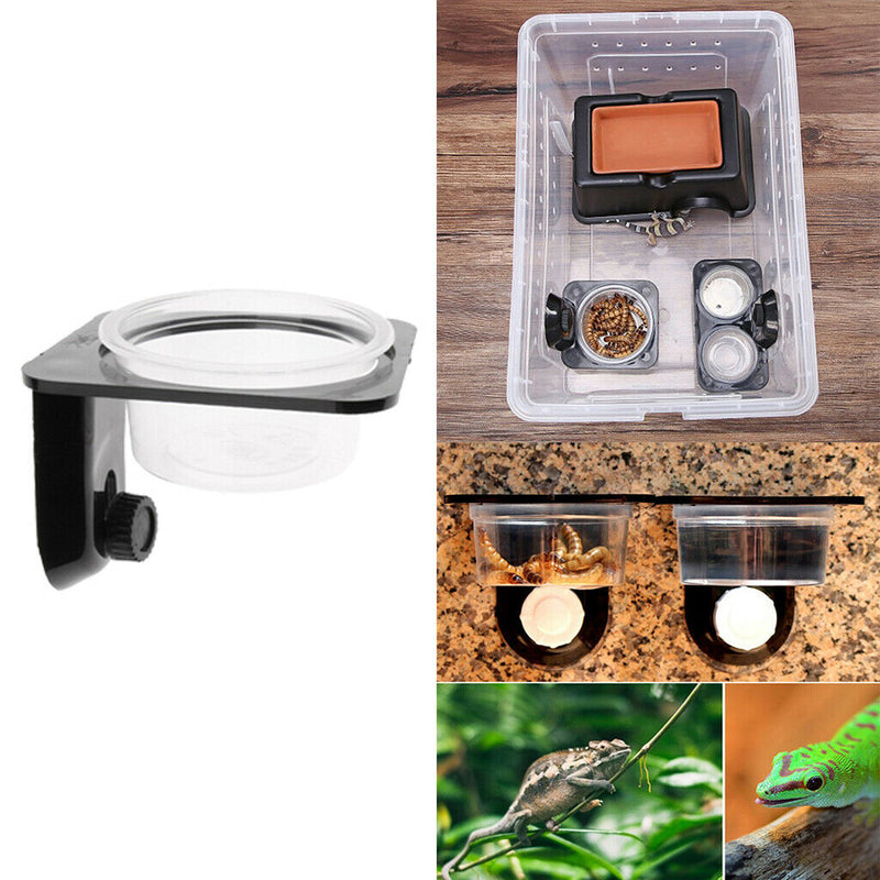 1Pcs Reptile Feeding Bowl Screw Food & Water Dish For Gecko, Lizard, Etc.