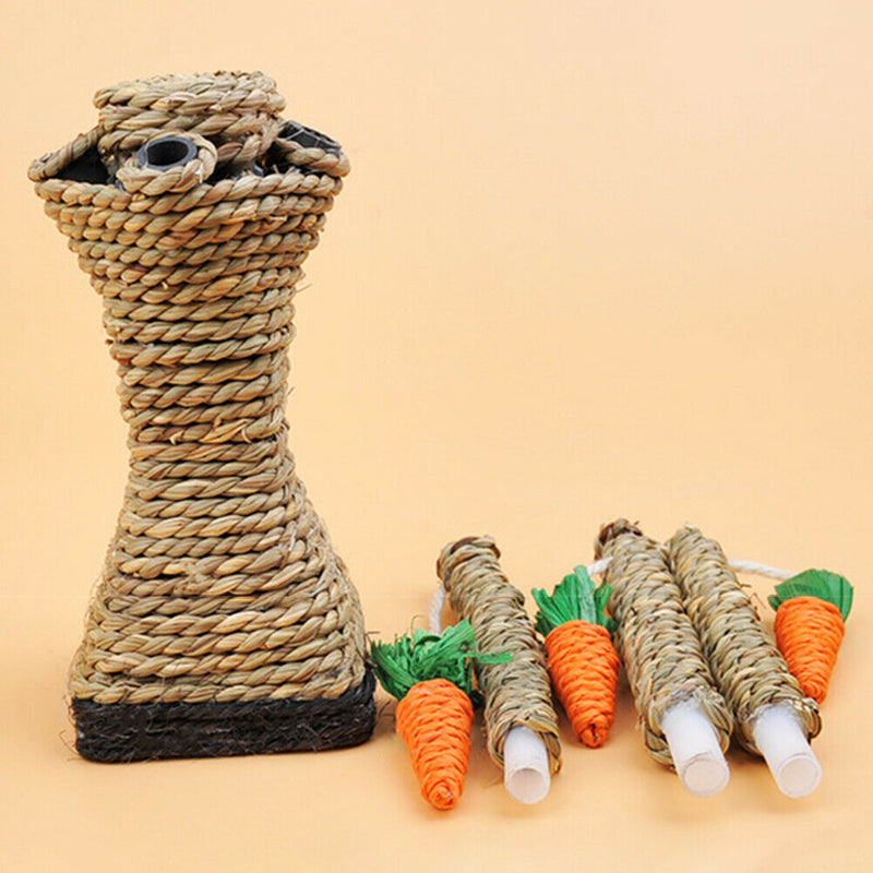 Cat Climbing Frame Funny Kitten Teeth Care Tower Shelves Scratching Post Carrot