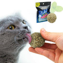 Magic Pet Cat Chewing ToyTeeth Cleaning Kitten Treats Catnip Stick HOT
