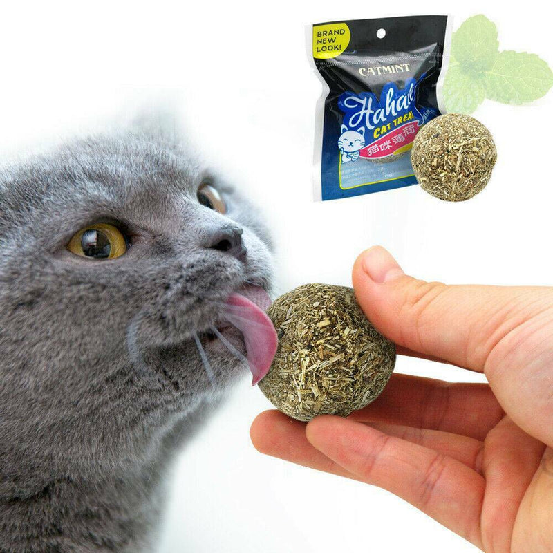 Magic Pet Cat Chewing ToyTeeth Cleaning Kitten Treats Catnip Stick HOT