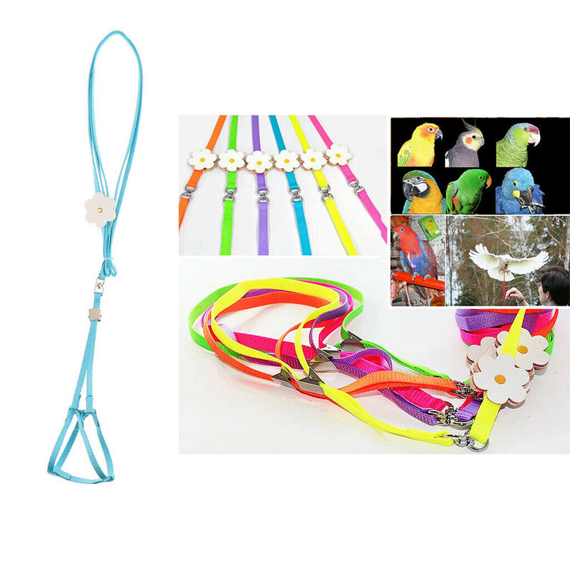 2 Pack Parrot Rope Pet Leash