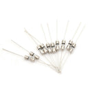 10pcs Glass Tube Fuse Axial Leads 3.6*10mm 1A Slow Blow ME