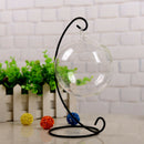 Test Tube Flower Vase With Metal Stand For Hydroponic Plant