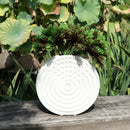 Pack 6 Creative Artificial Pine Nuts Plant Home Wedding Garden Decor B