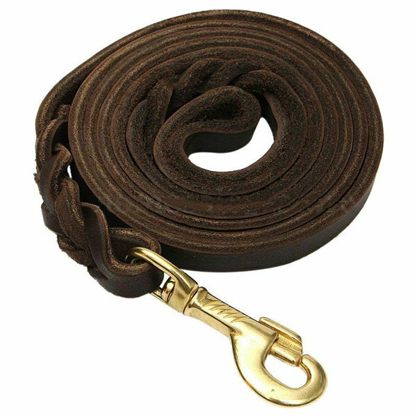 2M Long Leather Braided Pet Dog Walk Traction Collar Strap Training Leash L B1Y5
