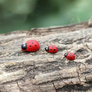 100Pcs Mini Ladybird Wooden Multi-Color Ladybugs Micro Landscape Decor Mixed
