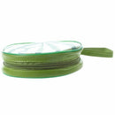 Green Watermelon Pattern 24 Capacity CD DVD Round Wallet Case Holder B6R3