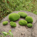 10x Mini Artificial Moss Balls Moss Stones Grass Turf Stones Fairy Garden A