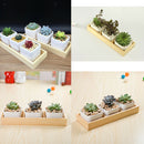 4x Natural Wooden Succulent Plant Flower Bed Pot Through Box Garden Planter