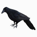 Realistic New Black Raven Feathered Crow Halloween Fancy Dress Prop Accesso J1O3