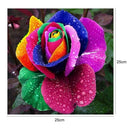 Rainbow Rose Painting Embroidery DIY Crafts 5D Diamond Cross Stitch Kit
