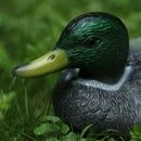 Fishing Hunting Decoy Plastic Duck Decoy Drake w/ Weighted Floating Keel