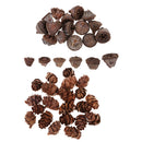 100x Natural Dried Flower Fruit Pine Cones Ornament Decorative Bowl Display