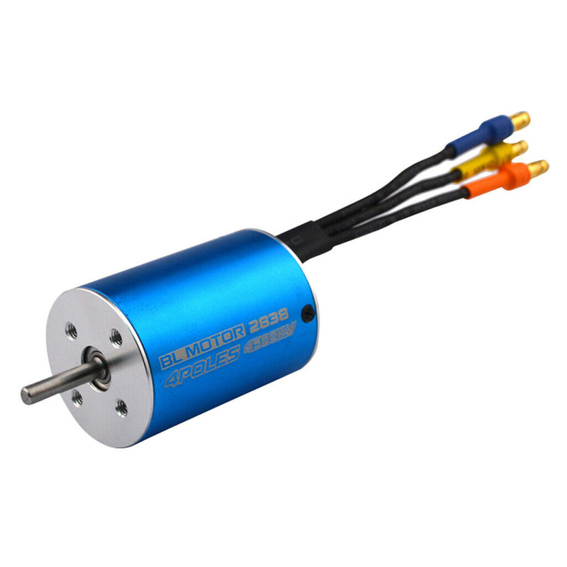 2838 3600KV 4 Poles Brushless Sensorless Motor for 1/12 1/14 RC Car Crawler