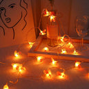 20 LED Lights Fairy String USB Power Christmas Wedding Countyard Lamp Decor